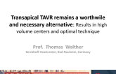 Transapical TAVR Remains a Worthwhile and Necessary Alternative: Results in a High-Volume Center and Optimal Technique