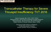 TVT 1134: Transcatheter Therapy for Severe Tricuspid Insufficiency