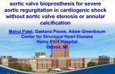 TVT 1176: Compassionate Use of a Self-Expanding Aortic Valve Bioprosthesis in Severe Aortic Regurgitation Without Aortic Stenosis or Annular Calcification