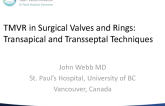 Technique of Transapical and Transseptal TMVR With Sapien, Lotus, Etc.