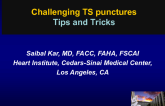 Challenging TS Punctures: Tips and Tricks