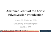 Anatomical Pearls of the Aortic Valve Complex: Session Introduction