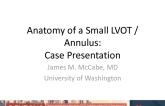 Anatomy of a Small LVOT/Annulus