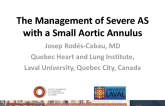 The Management of Severe AS With a Small Aortic Annulus