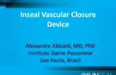Access Site Management Strategies, Including New Large-Hole Closure Devices - 2