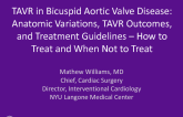 TAVR in Bicuspid Aortic Valve Disease: Anatomic Variations, TAVR Outcomes, and Treatment Guidelines  How to Treat and When Not to Treat