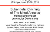Subannular Cinching of the Mitral Annulus: Method and Impact on Annular Dimensions
