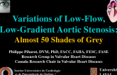 Variations of Low Flow: Low-Gradient AS  Almost, 50 Shades of Gray!