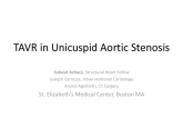 TVT 1096: TAVR in Unicuspid Aortic Valve Stenosis