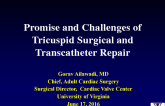 The Promise and Challenges of Tricuspid Surgical and Transcatheter Repair