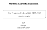 The Mitral Valve Center of Excellence