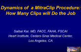 Dynamics of a MitraClip Procedure: How Many Clips Will Do the Job?