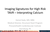 Imaging Signatures for High Risk TAVR: Interpreting Calcium