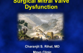 Bioprosthetic Surgical Valve Dysfunction: Valve-in-Valve, Valve-in-Ring, and PVL Closure