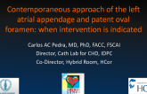 Contemporaneous Approach of The Left Atrial Appendage and Patent Oval Foramen: When Intervention is Indicated