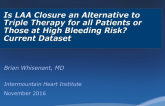 Is LAA Closure an Alternative to Triple Therapy for all Patients or Those at High Bleeding Risk? Current Dataset