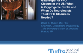 The Neurologist as the Gatekeeper of PFO Closure in the US: What is Cryptogenic Stroke and When Do Neurologists Think PFO Closure Is Needed?