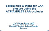 Special Tips and Tricks for LAA Closure Using the ACP/Amulet LAA Occluder