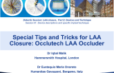 Special Tips and Tricks for LAA Closure Using the Occlutech LAA Occluder