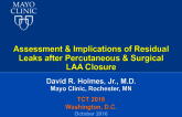 Assessment and Implications of Residual Leaks After Percutaneous and Surgical LAA Closure