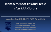 Management of Residual Leaks After LAA Closure