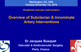 Overview of Subclavian and Innominate Artery Interventions