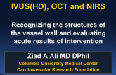 IVUS, NIRS, and OCT Dictionary: Recognizing the Structure of the Coronary Wall and Plaque, and Evaluating Acute Results of Intervention