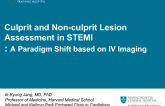 Culprit and Non-Culprit Lesion Assessment in STEMI: A Paradigm Shift Based on Intravascular Imaging (and Physiology)?