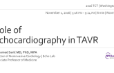 Role of Echocardiography in TAVR