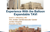 Experience With the Balloon Expandable Valves
