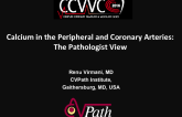 Calcium in the Peripheral and Coronary Arteries: The Pathologist View