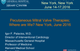 Percutaneous Mitral Valve Therapies: Where Are We?