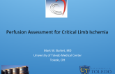  Perfusion Assessment for Critical Limb Ischemia