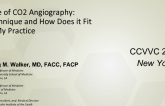 Role of CO2 Angiography: Technique and How Does it Fit in My Practice