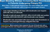 Prolonged High-Dose Bivalirudin Infusion Reduces Major Bleeding Without Increasing Stent Thrombosis in Patients Undergoing Primary PCI