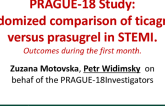 PRAGUE-18 Study: Randomized Comparison Of Ticagrelor Versus Prasugrel In STEMI
