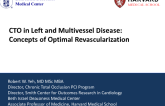 CTO PCI in Patients With Multivessel and Left Main Disease/Concepts of Optimal Revascularization
