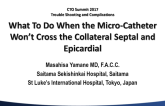What to Do If the Microcatheter Won't Cross the Collateral