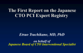The First Report on the Japanese CTO PCI Expert Registry