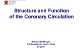 Structure and Function of the Coronary Circulation