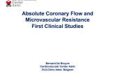 Absolute Coronary Flow and Microvascular Resistance First Clinical Studies