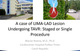 Czech Republic Presents: A Case of Ostial LAD Undergoing TAVR: Staged or Single Procedure?