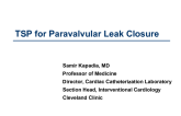 Case #2: Transseptal Puncture for Paravalvular Leak Closure