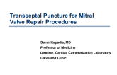 Transseptal Puncture for Transcatheter Mitral Valve Repair Procedures: Technical and Imaging Considerations