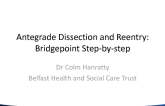 Cases #2 and #3: Antegrade Dissection and Reentry: Bridgepoint Step-by-step (2 Cases)
