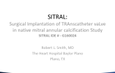 Surgically Implanted Sapien Valve in Mitral Annular Calcium: SITRAL Trial