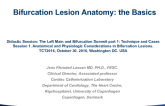 Bifurcation Lesion Anatomy: The Basics