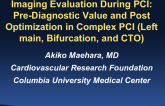 Imaging Evaluation During PCI: Prediagnostic Value and Post Optimization