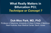 What Really Matters in Bifurcation PCI? Technique or Concept