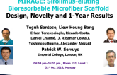 MIRAGE: Design Novelty and 1-Year Results With a Microfiber-Based BRS
